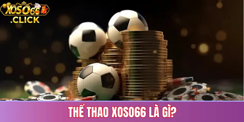Giới thiệu thể thao Xoso66 với các môn cá cược phổ biến và tỷ lệ kèo cập nhật liên tục